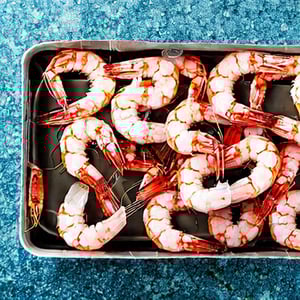 shrimp